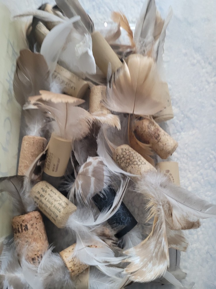 Cork Feather play cat toy