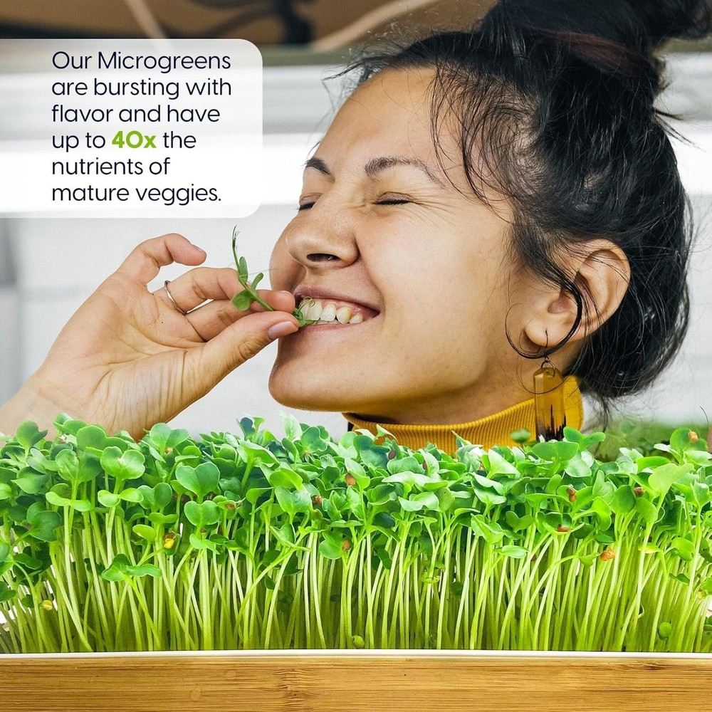 Self-Watering Microgreens Growing Kit with Seeds & Tray, No Soil Needed