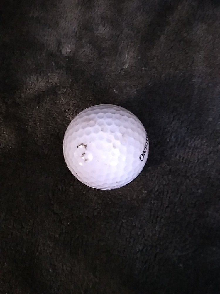 Alaska Golfing Moose Logo Golf Ball - Spalding -