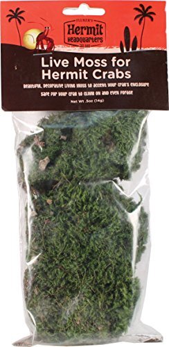 Flukers Live Moss for Hermit Crabs, 0.5-Ounce