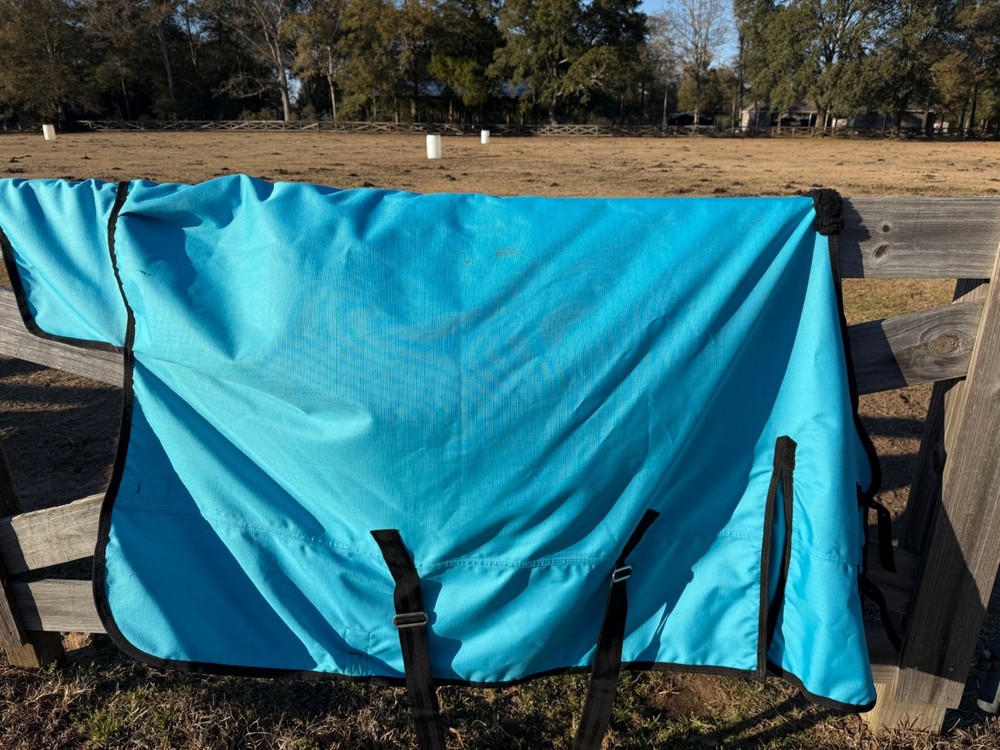 horse blanket