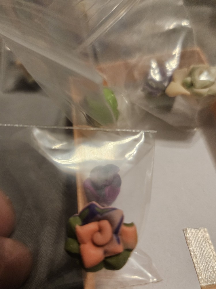 Succulent miniatures lot