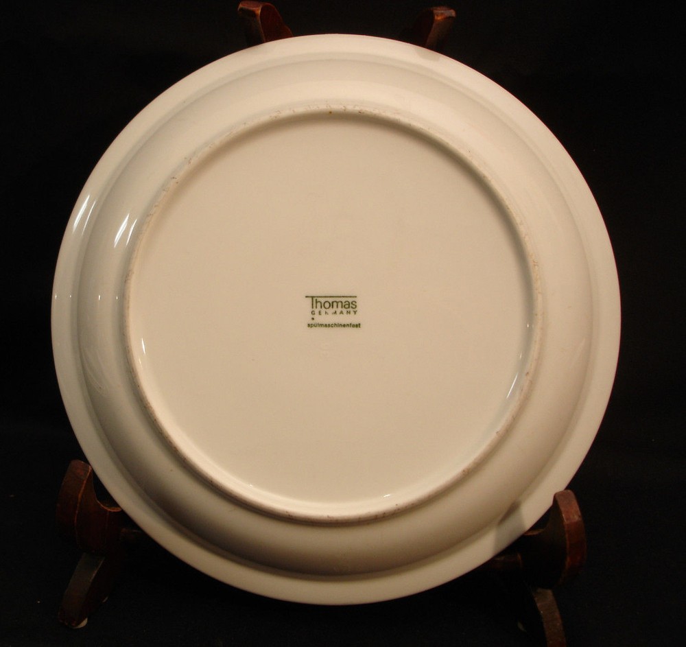 Florida by Thomas COUPE SOUP BOWL 8 5/8"