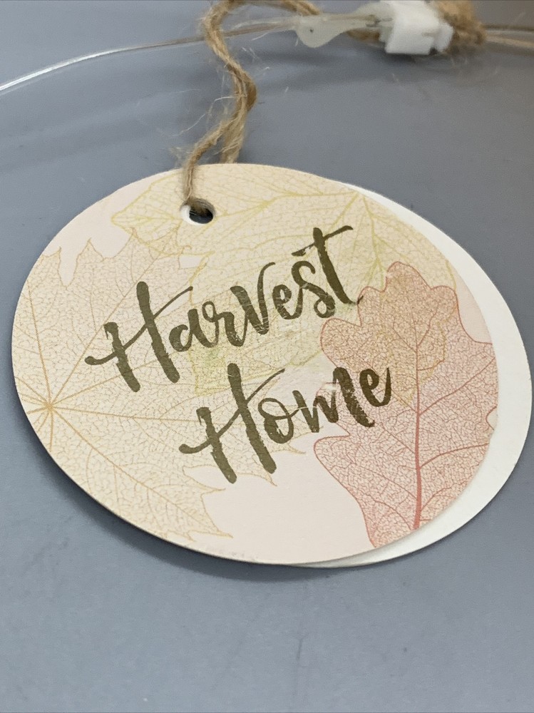 Home Essentials Harvest Large Leaf LED Globe in Rust/Copper