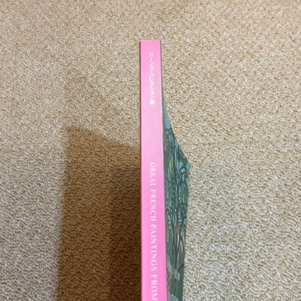 Exhibition Catalog Barnes Collection 1994