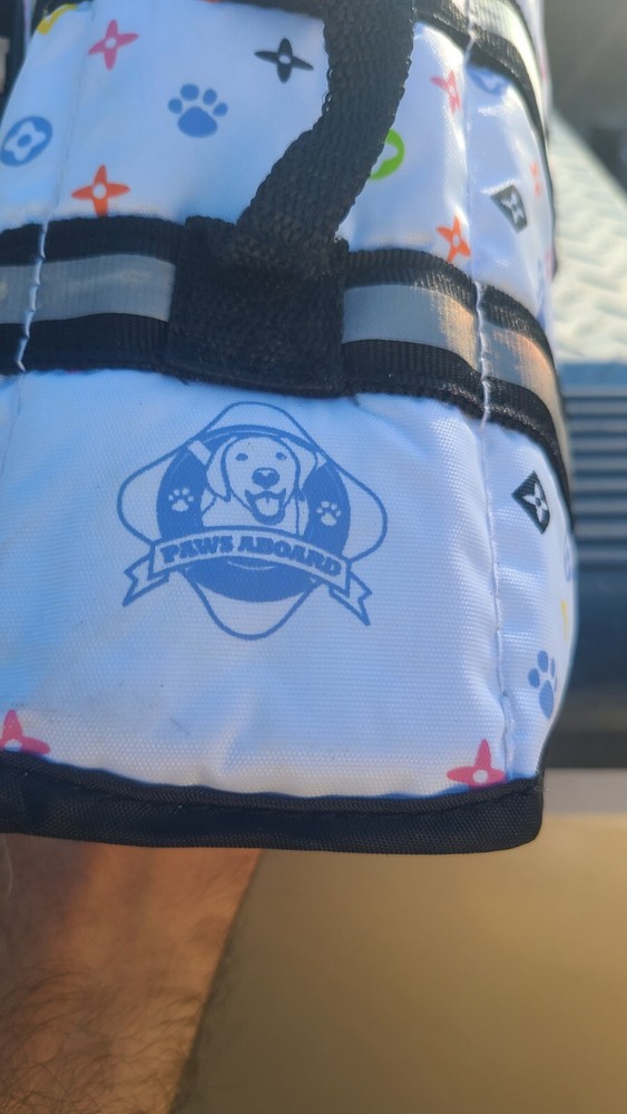 snorkeling gear