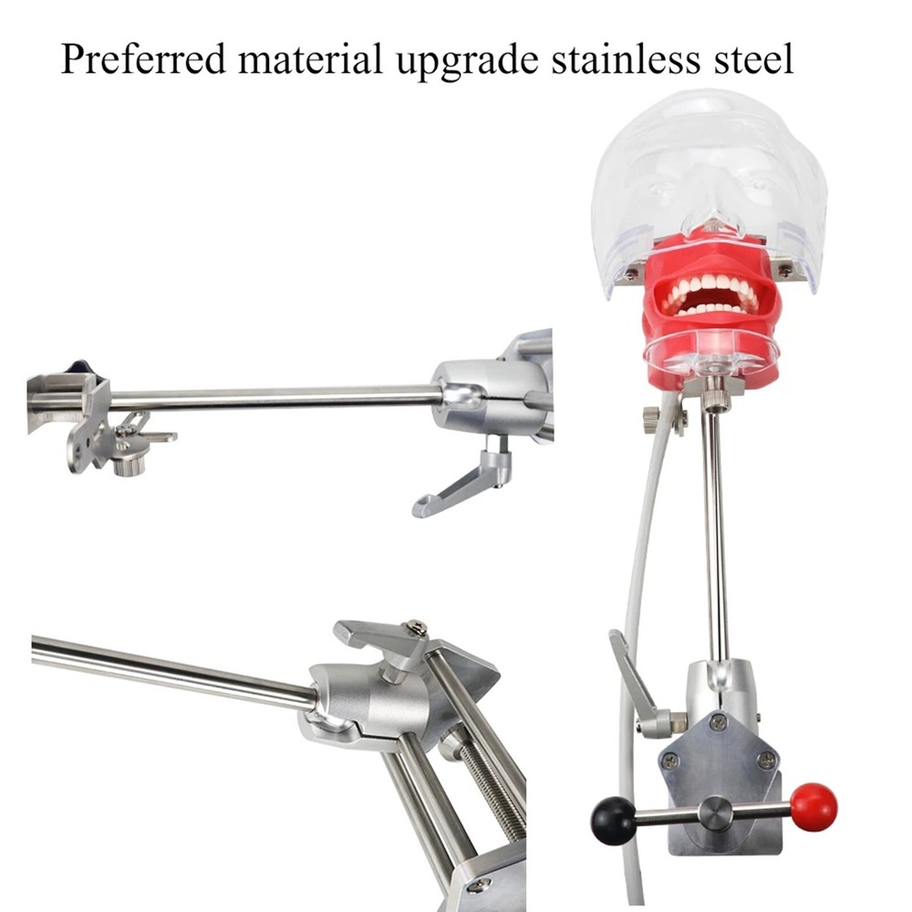 Dental Simulator Manikin Phantom Head Model with 28 Removal Teeth Bench Mount
