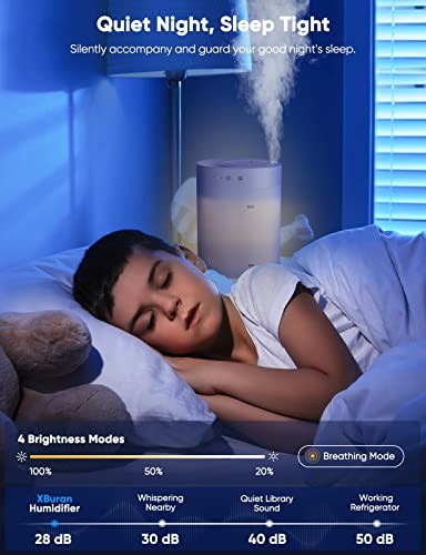 XBURAN COOL MIST HUMIDIFIER SETTINGS - WHITE