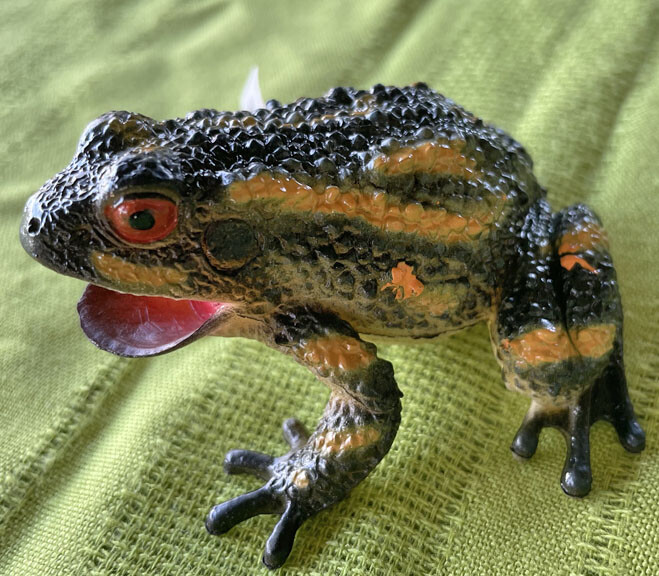 Exotic Frogs and Toads - Hollow Vinyl