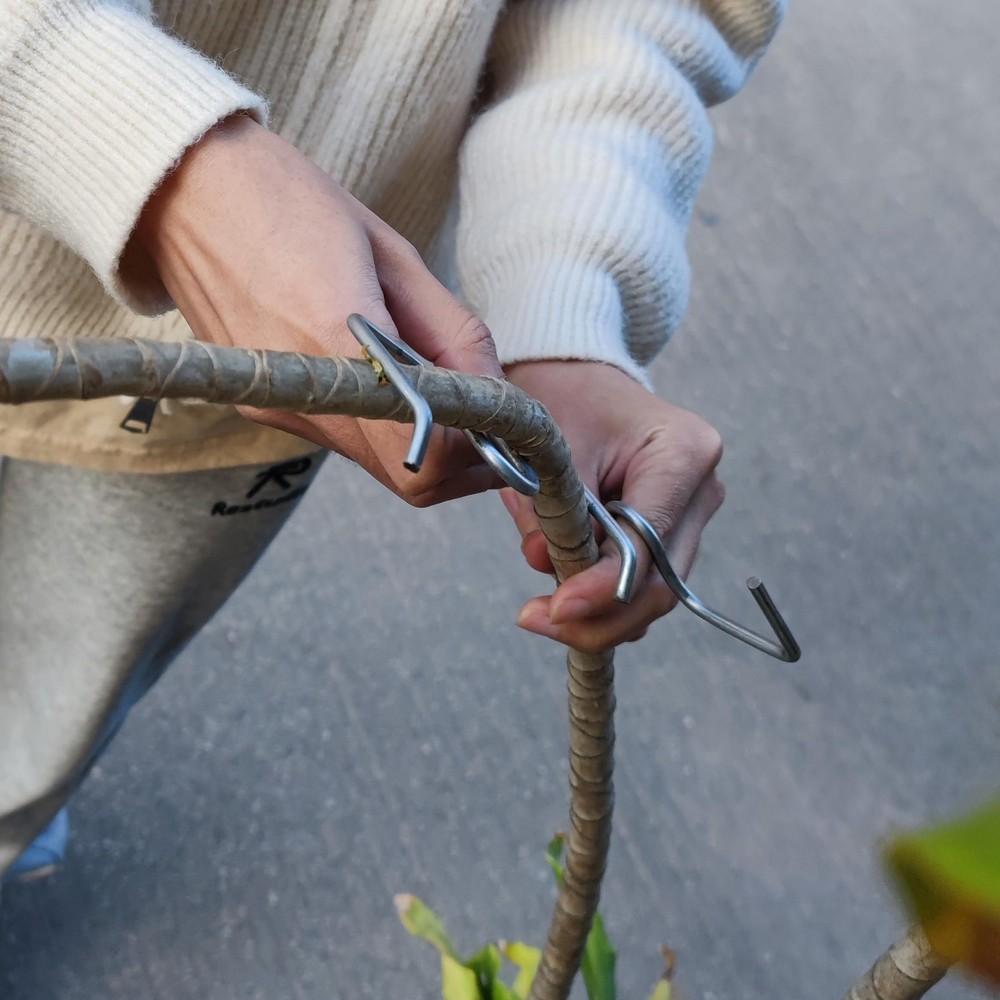 Fruit Tree Branch Puller 16PCS, 5.1 inch Fruit Tree Limb Spreader, Fruit Tree...