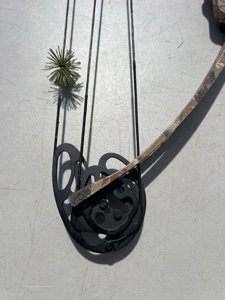 vintage compound bow “browing”