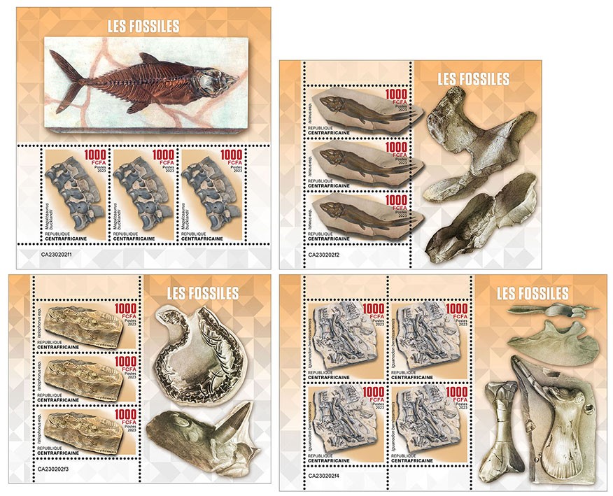 Fossils