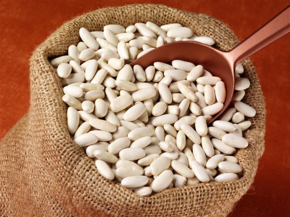 Al Doha Egyption White Beans, 3 X 500 gm فاصوليا ناشفة