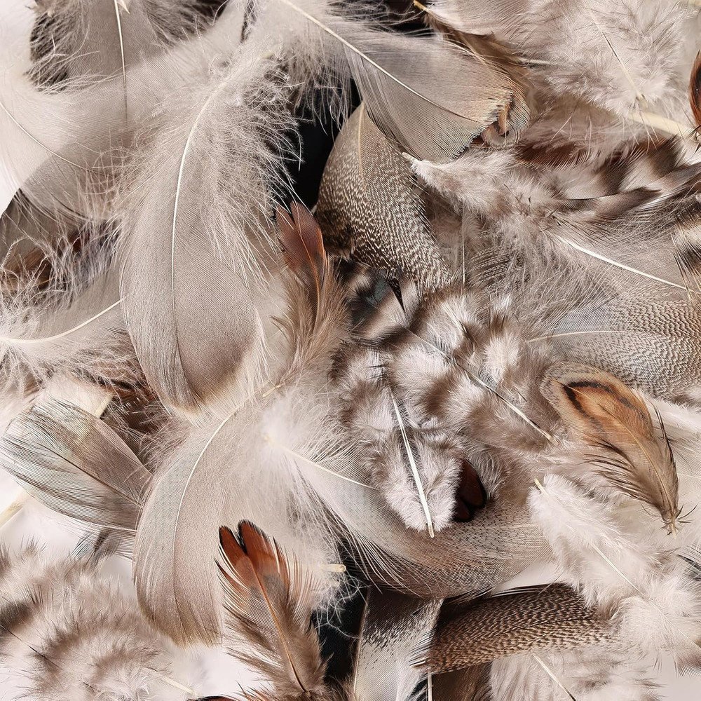 210Pcs 7 Styles Natural Bulk Feathers Assorted Mixed Feathers for DIY Crafts Dre