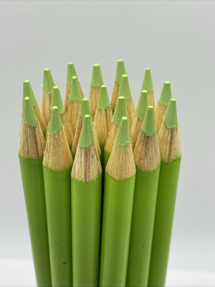 (20) Crayola Colored Pencils  (palm leaf) BULK