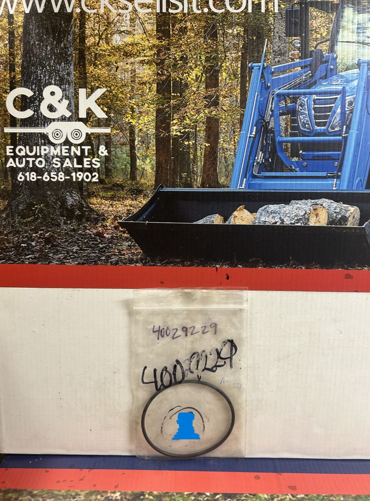 LS O-Ring-S802080010  40029229