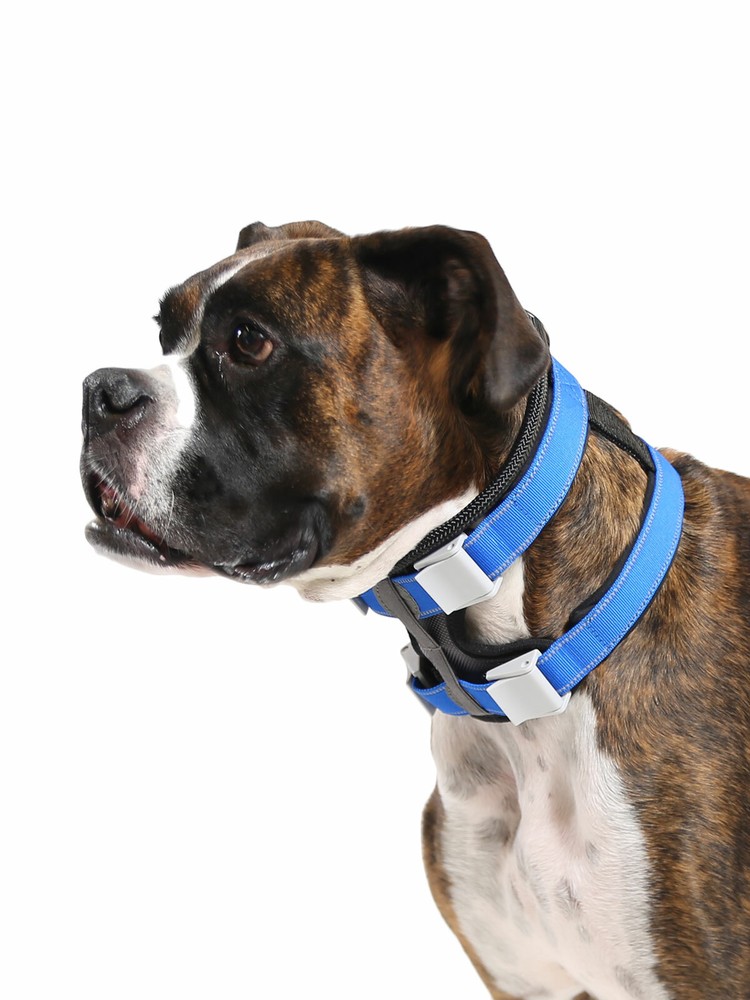 Cesar Millan Pack Leader Collar™ - Dog Whisperer Training Collar