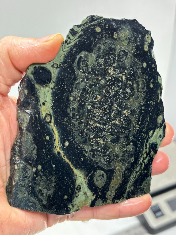 Kambaba Jasper Stromatolite Slab Lapidary Cabbing Combo Ship Avail