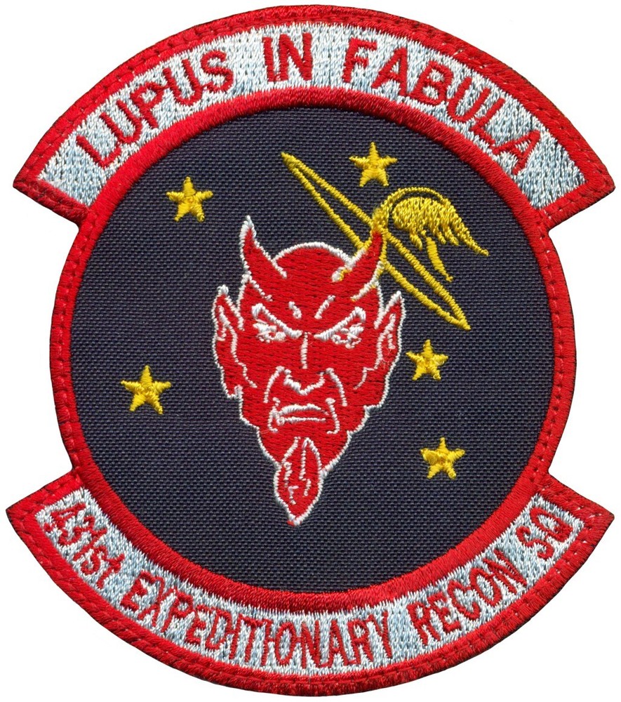 USAF 431st EXPEDITIONARY RECONNAISSANCE SQUADRON PATCH