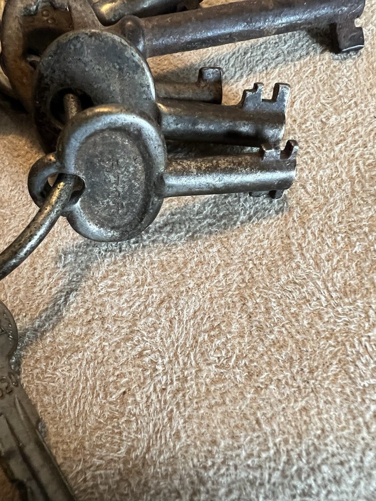 Vintage SKELETON KEYS & FLAT KEYS Assorted on Ring