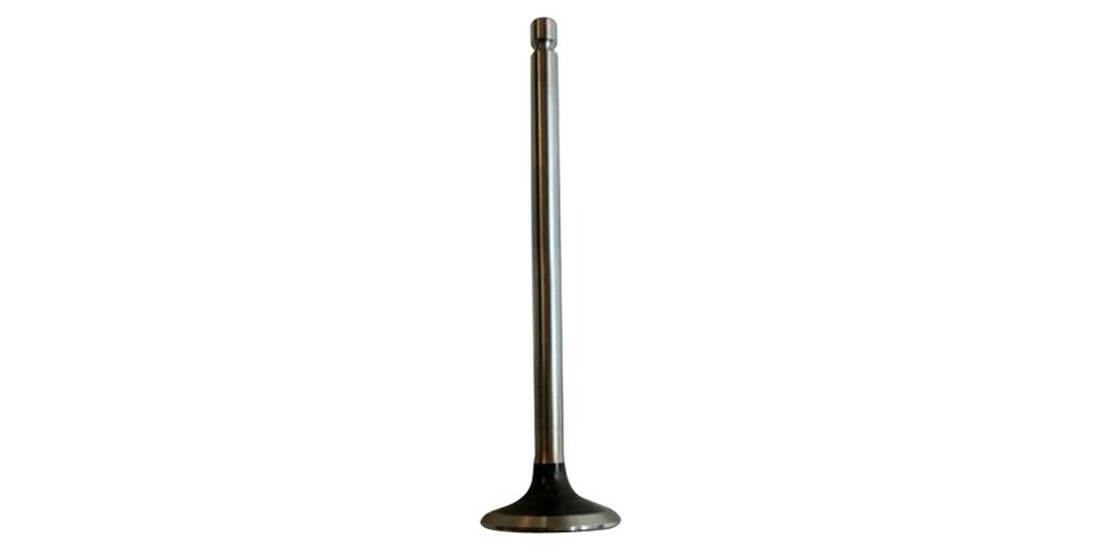 Exhaust Valve 3927255 for cummins diesel engine(6PCS)