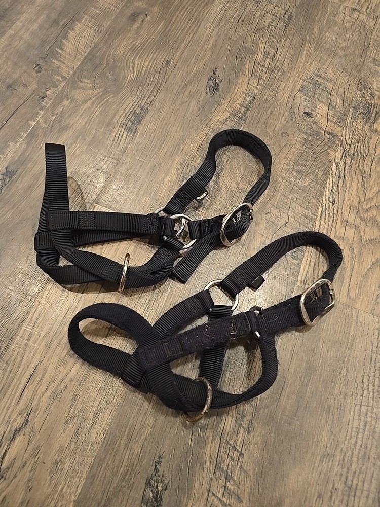 Cow Halters