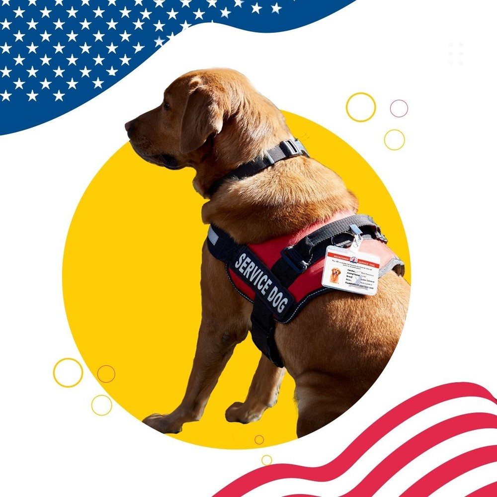 Service Dog No Pull Reflective Harness | All Sizes ADA Vest