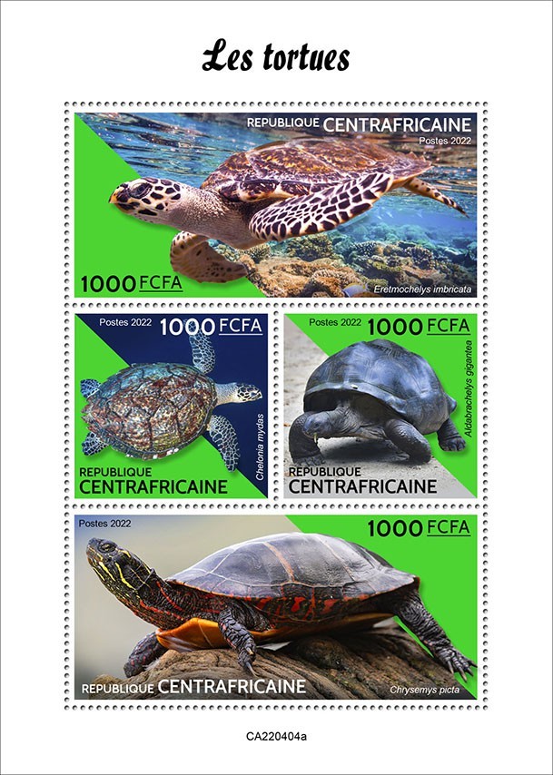 Turtles