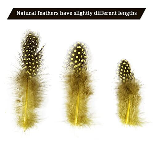 Spotted Feathers 120pcs 2-3inch Small Natural Bulk Guinea Pheasant Feather