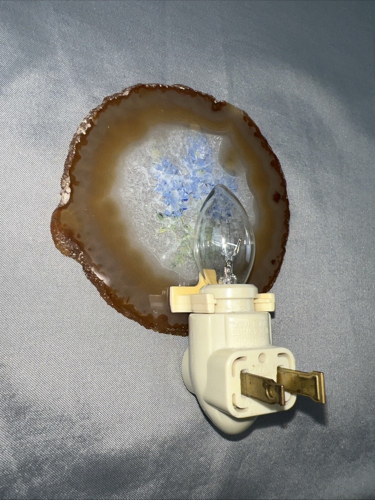 Vintage Blue Bonnet Texas Night Light