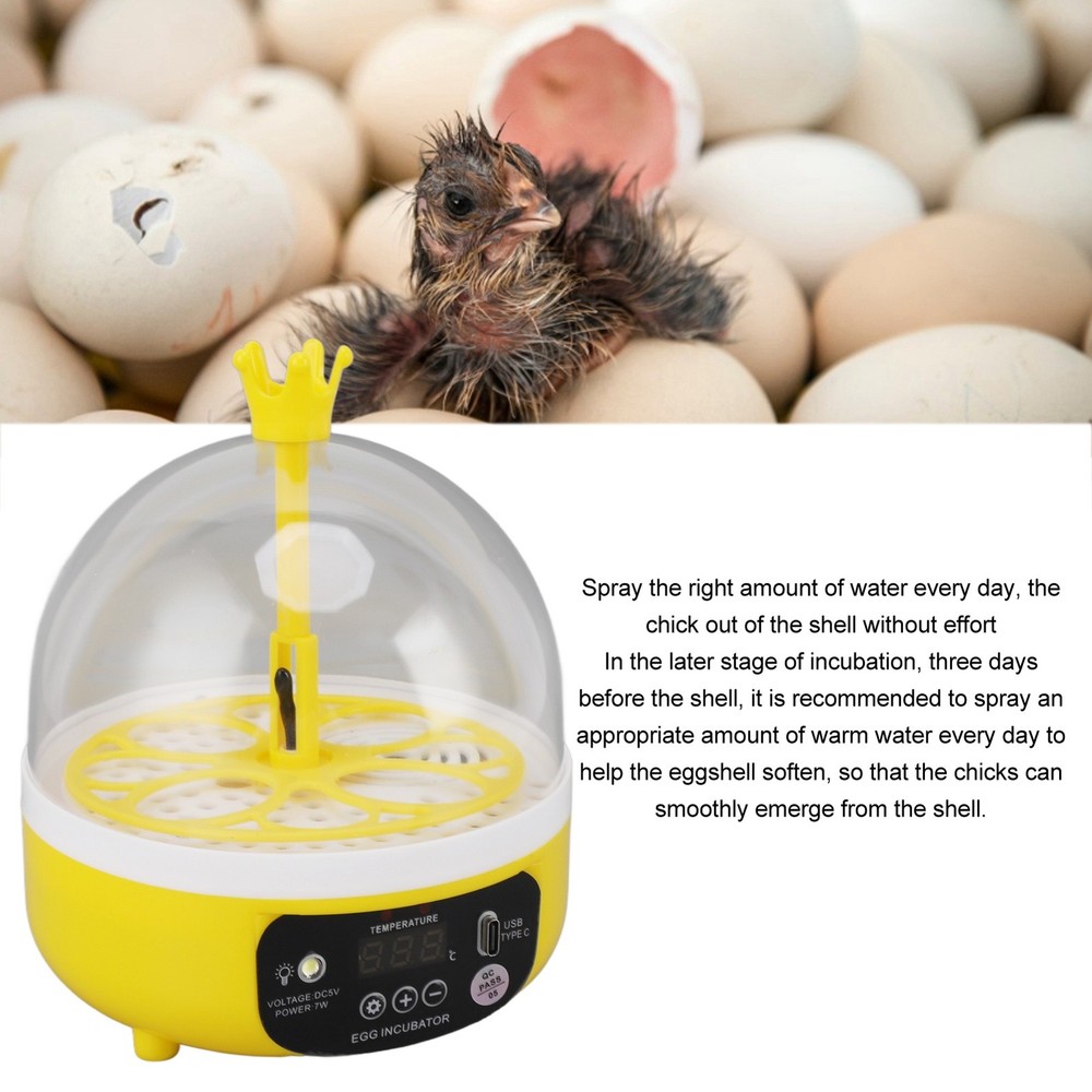 Automatic Temperature Control Mini Egg Incubator For Home Chicken Hatching
