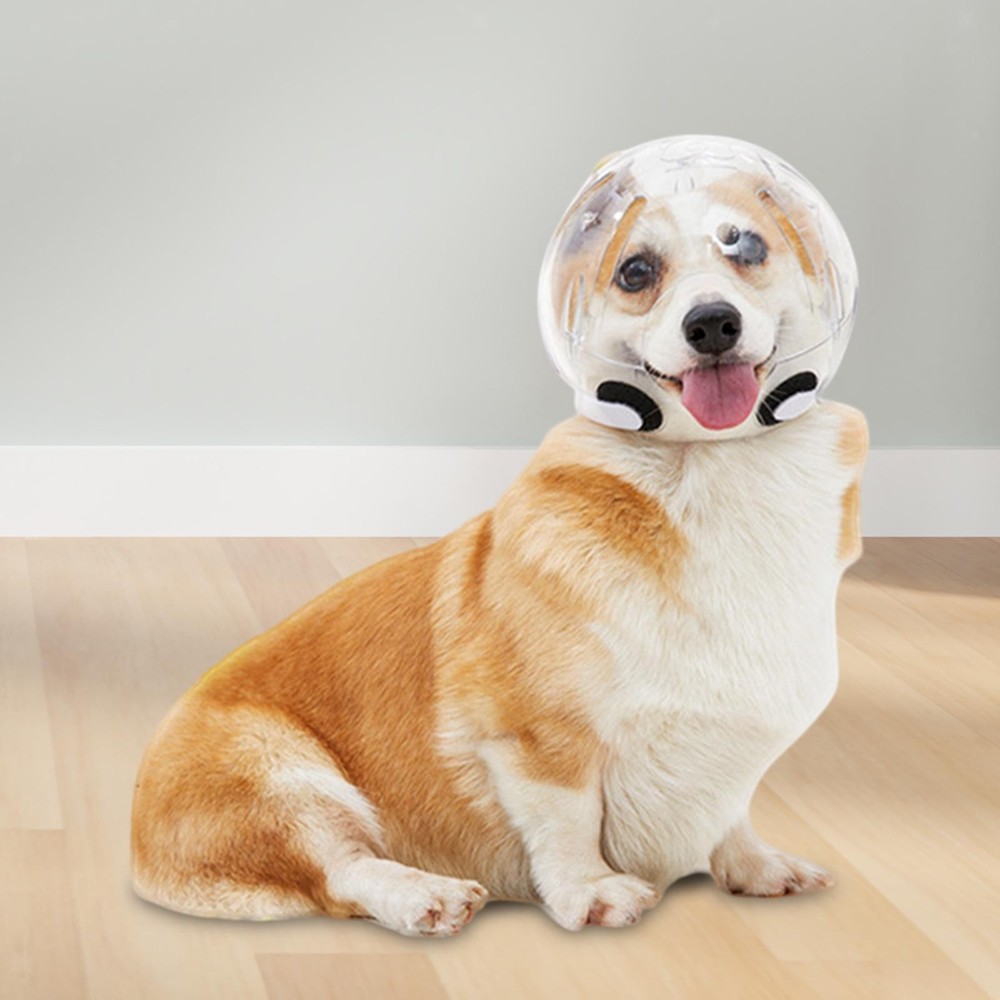 Dog Muzzle Transparent Protective Breathable Prevent Biting Pet Hood Cat Muzzle