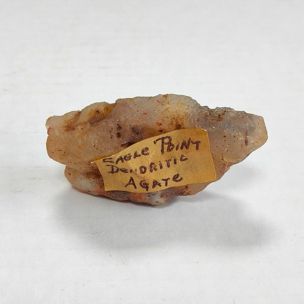 Natural Dendritic Agate Slice - Rare Eagle Point Specimen with Intricate Pattern