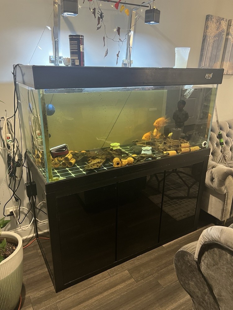 180G Fish Tank Setup with Overflow System
