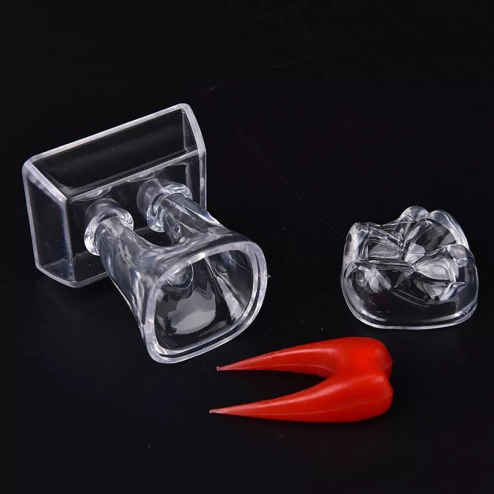 Dental Plastic Emulational Quality Crystal Base Hard Tooth Separable Molar Model
