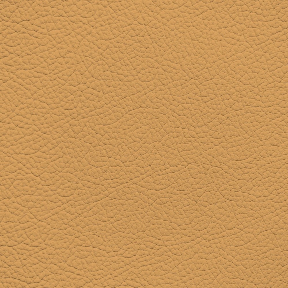 GM Neiman Marcus Edition Camaro Leather Dye