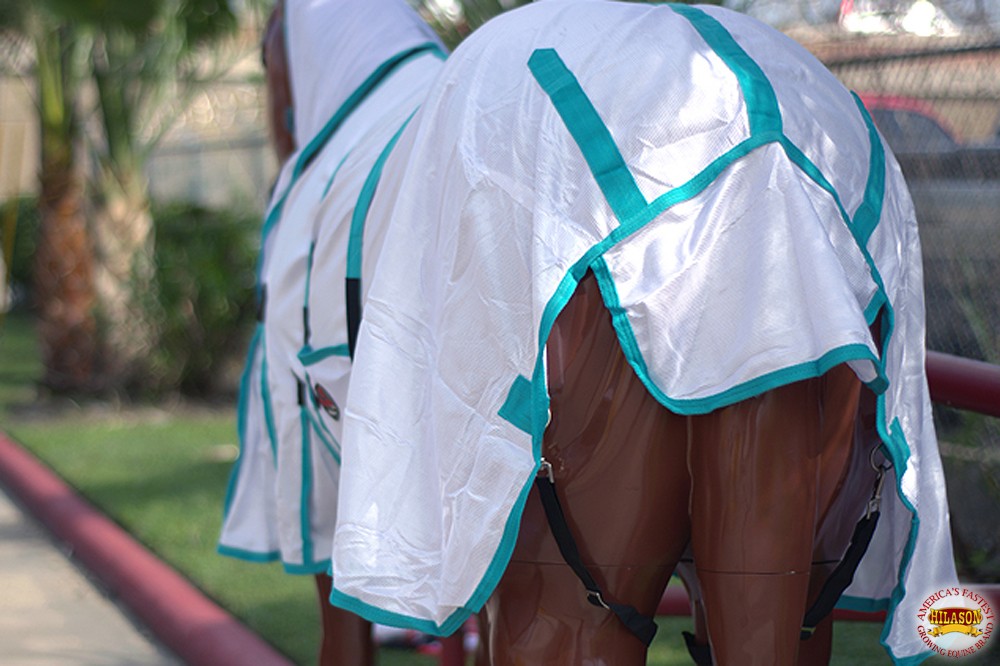HILASON Horse Fly Sheet UV Protect Breathable Mesh Bug Mosquito Spring | Summer