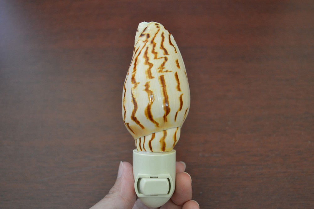 CONUS CONE SEA SHELL NIGHTLIGHT PLUG IN OCEAN THEME