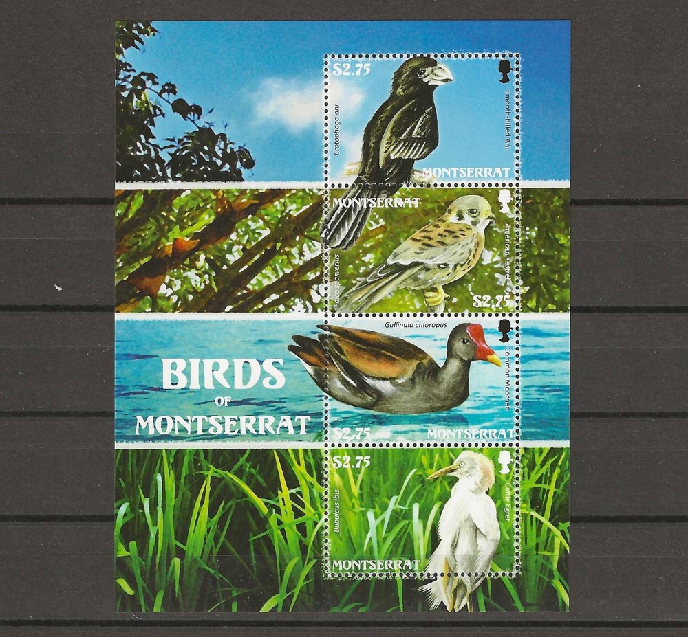 MONTSERRAT 2009 SG MS 1428 MNH