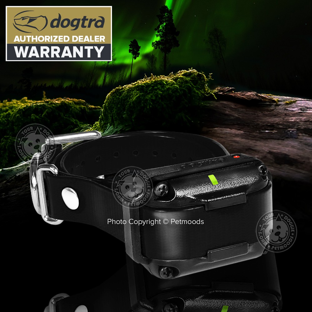 Dogtra EDGE RT Expandable 1-Mile Remote Training Collar Waterproof System