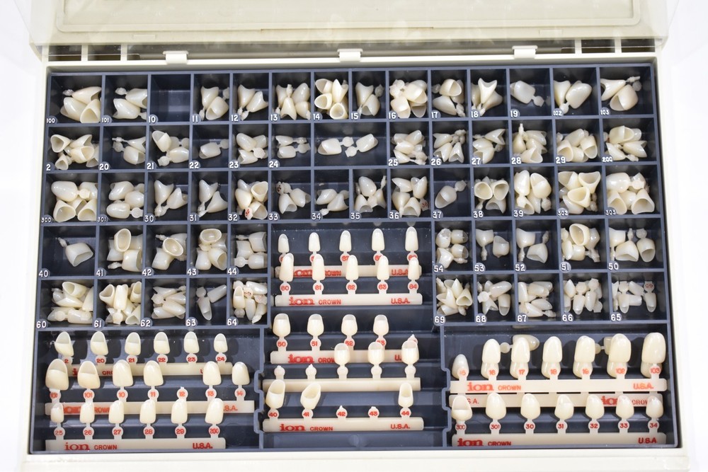 Dental Crown Set /  3M Polycarbonate Organizer Box with Various Sized Crowns