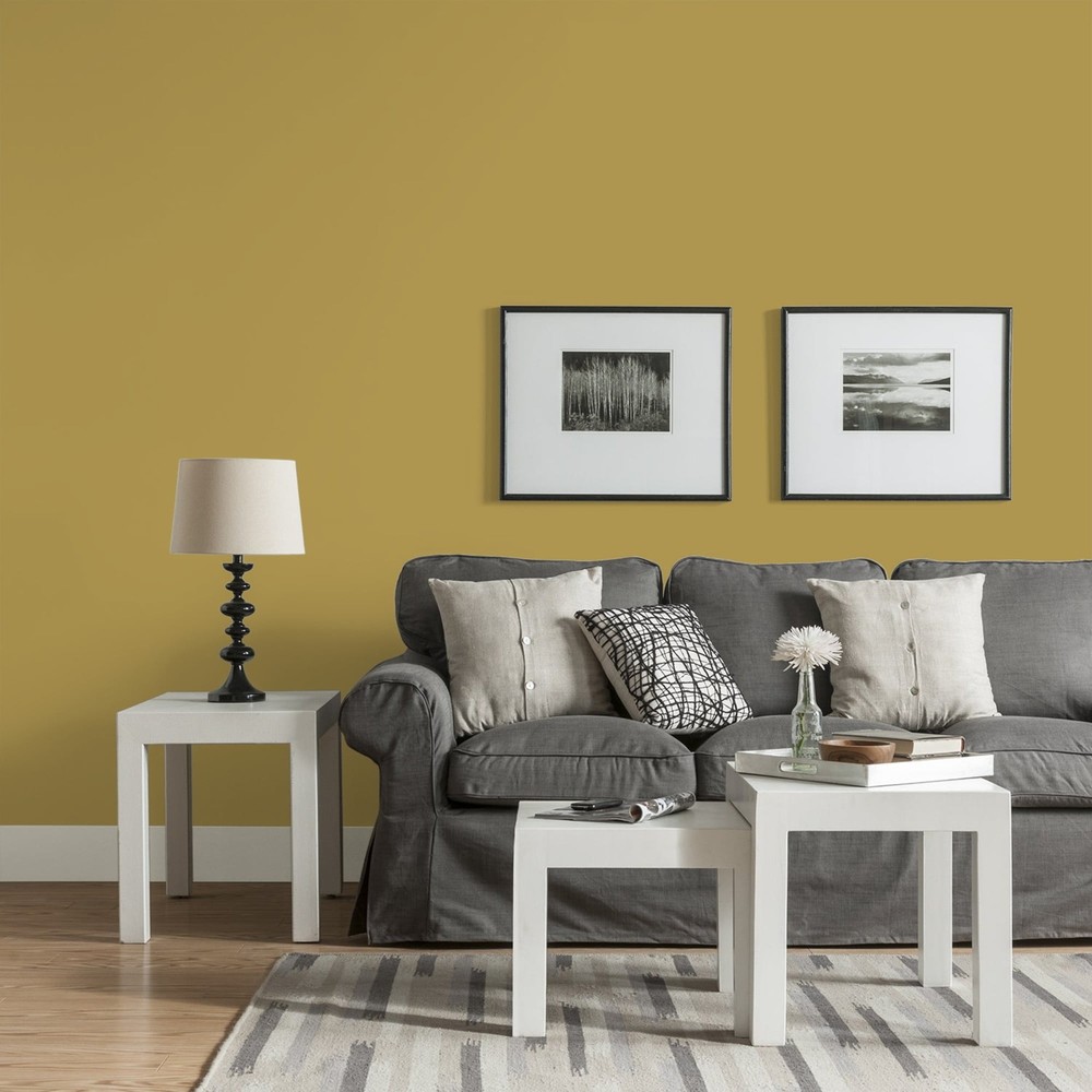 Glidden Fundamentals Interior Paint Obsession / Yellow, Eggshell, 1 Gallon