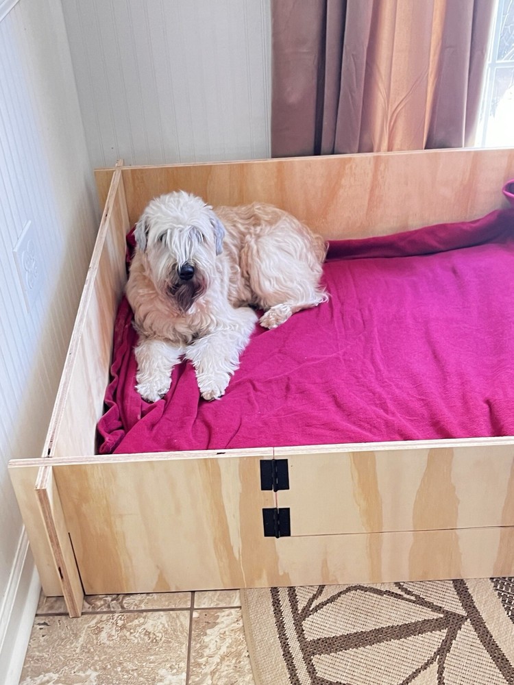 Whelping Box & Supplies Local Pick-up.