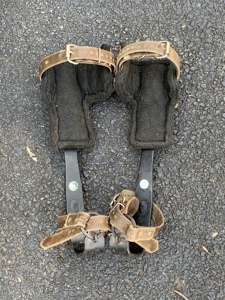 Buckingham Tree Climbing Spikes