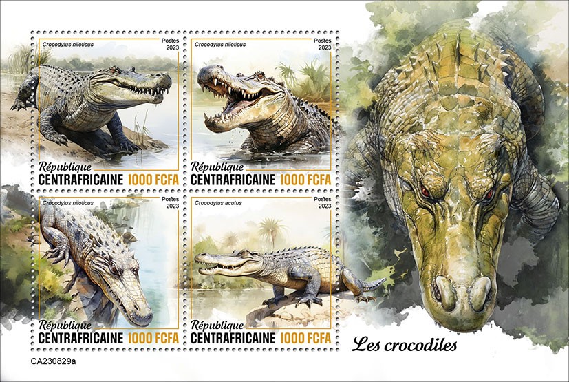 Crocodiles