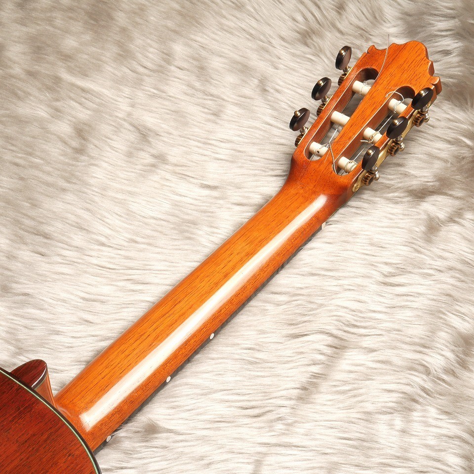 VICENTE CARRILLO Maestro NX