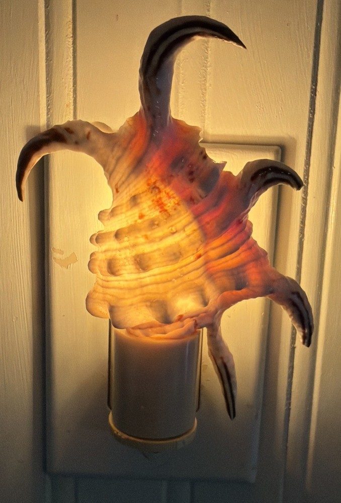Spyder Conch Shell Night Light Wall Outlet Nautical Beach Decor