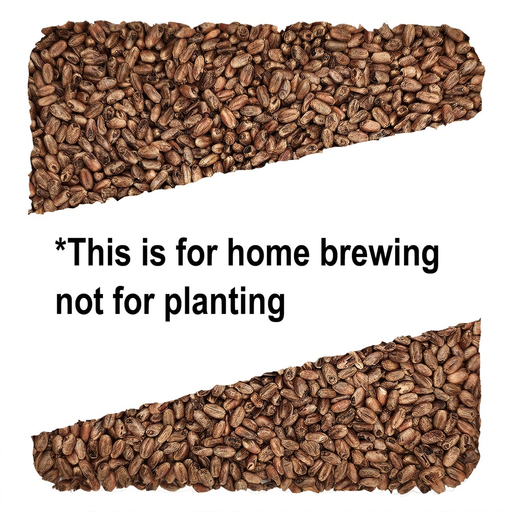 Home Brew Ohio CaraWheat Grain 1lb