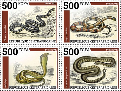 Snakes