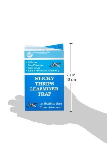 Seabright Laboratories Thrip/Leafminer Traps, 5 pack